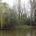 Ducks' Island in Bucharest city