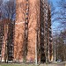 Rigondas Gatve, 7 in Riga city