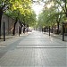 Murat Toptani Street in Tirana city