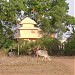 Ma Narmada Sarada Ashram(Jamna Dadar) in Amarkantak city