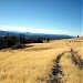 Cuyamaca Rancho State Park