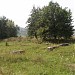 Старое кладбище в городе Елец