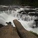 Sheep Falls