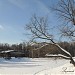 Парковый (Садовый) пруд в городе Москва