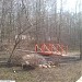 Мост через «сухой» ручей вблизи истока Бирюлёвского ручья в городе Москва