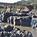 Ponte Governador José Ludovico de Almeida na Orizona city