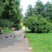 Square, garden in Riga city
