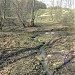 Долина левого притока реки Язвенки в городе Москва