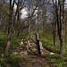 Abandoned Kruti Hirky ('Steep Hills')  Pioneer Camp