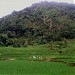 wa adin in Sumedang city