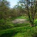 Бывшее футбольное поле в городе Люботин