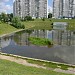 Намывной остров в городе Москва