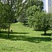 Следы полузасыпанного овражка в городе Москва