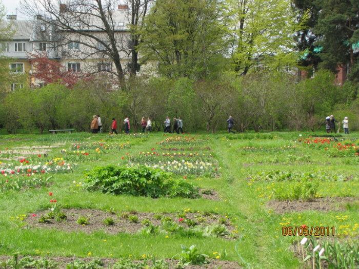 Ботанический сад в Калининграде изменил график работы
