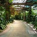 Orchid Garden in Kuala Lumpur city