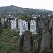 Єврейське кладовище в місті Кушниця