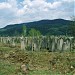 Єврейське кладовище в місті Кушниця