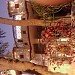 Anil Verma's House in Jalandhar city