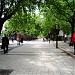 Murat Toptani Street in Tirana city