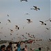Botadaung Jetty in Yangon city