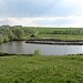 Pond