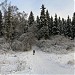 Зелёная зона «Тюльпан» в городе Москва