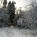 Зелёная зона «Тюльпан» в городе Москва