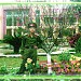 Trường Tiểu học và THCS Tản Đà trong Thị trấn Tây Đằng thành phố