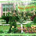 Trường Tiểu học và THCS Tản Đà trong Thị trấn Tây Đằng thành phố