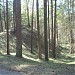 Sunny hill in Riga city