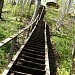 Hiking trail with steps