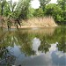 Озеро Каменное в городе Запорожье