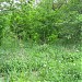 Балка Костина в городе Запорожье