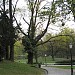 Parku Maksimir