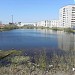 Озеро в городе Киров