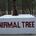 Nirmal Tree