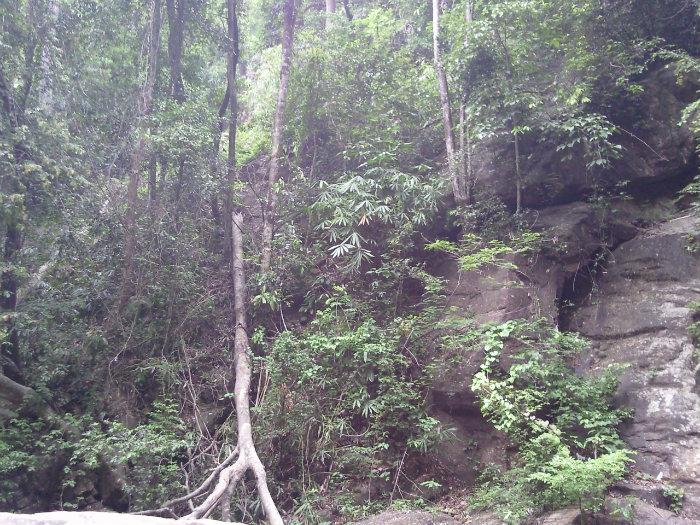 Mankayam Falls 1 Mankayam Falls 1