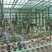 Botanical garden greenhouses in Bucharest city