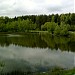 Восточный Полянский (Салтыковский) пруд в городе Москва
