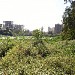 Kavesarr Lake, Thane municipal Corporation, Thane in Thane city