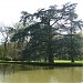 Het park en de tuinen van het kasteel Anholt