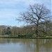 Park- und Gartenanlagen Wasserburg Anholt