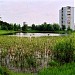 Пруд в городе Щёлково