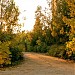 Parcul Cîinelui in Bucharest city