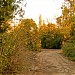 Parcul Cîinelui in Bucharest city