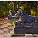 Терраса - пристань в городе Гатчина