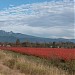 Pitt Meadows ,British Columbia