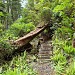 Cape Scott Provincial Park