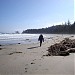 Cape Scott Provincial Park