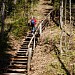 Hiking trail with steps